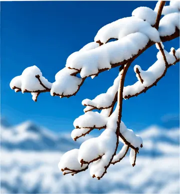Pack hivernage pour kiosque de laverie automatique