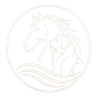 Logo Toutou Net